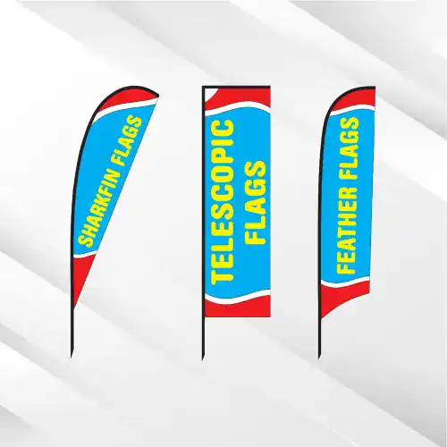 Flags - Image 1